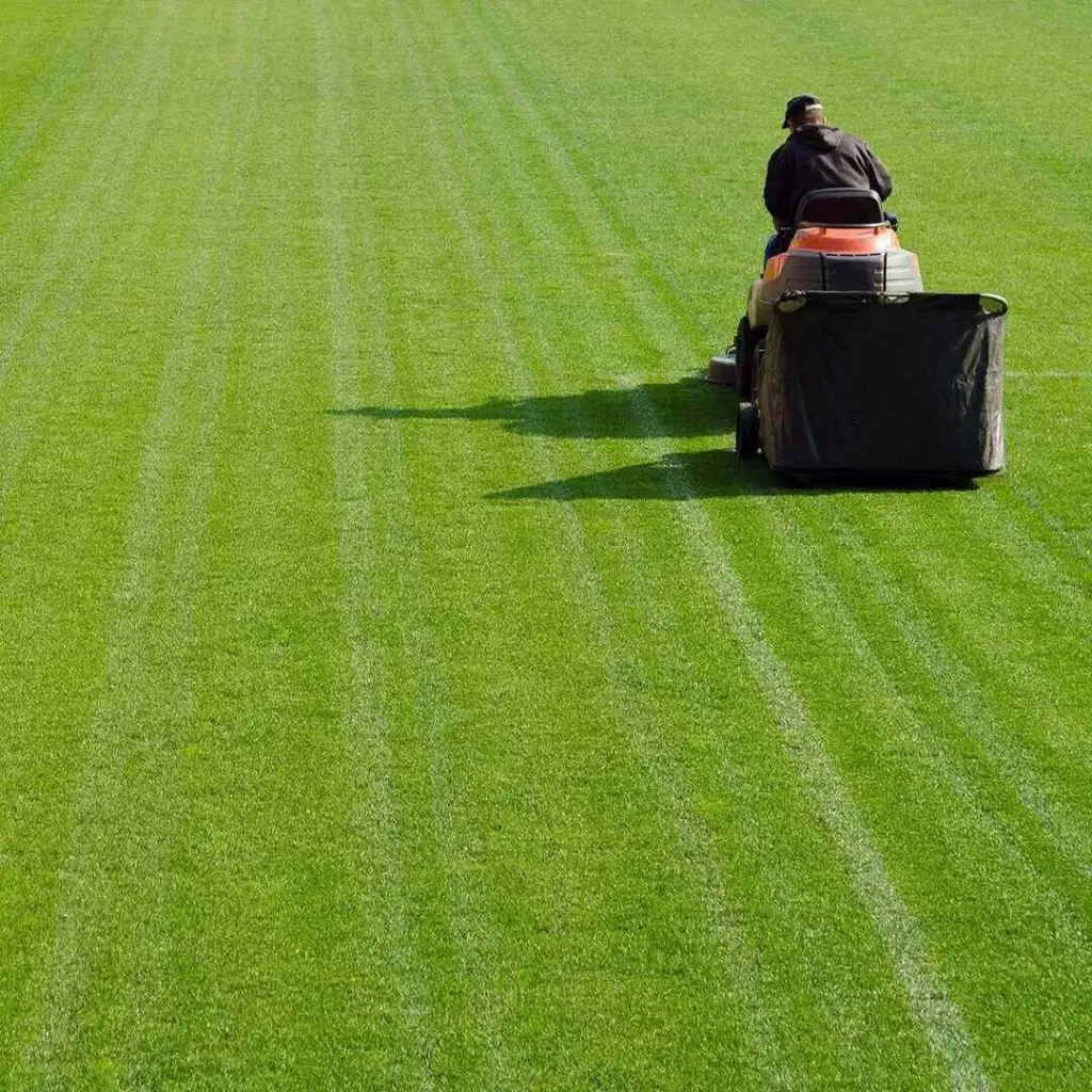 Lawn care worker riding a mower across a large striped lawn in Greenville, SC.